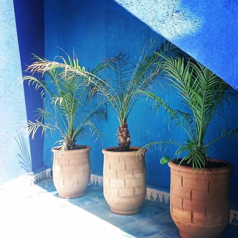 Villa Dar Massaneh Essaouira Exterior foto